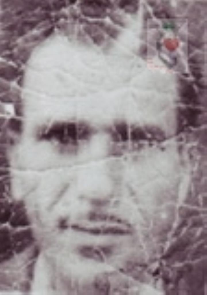 فاقد تصویر